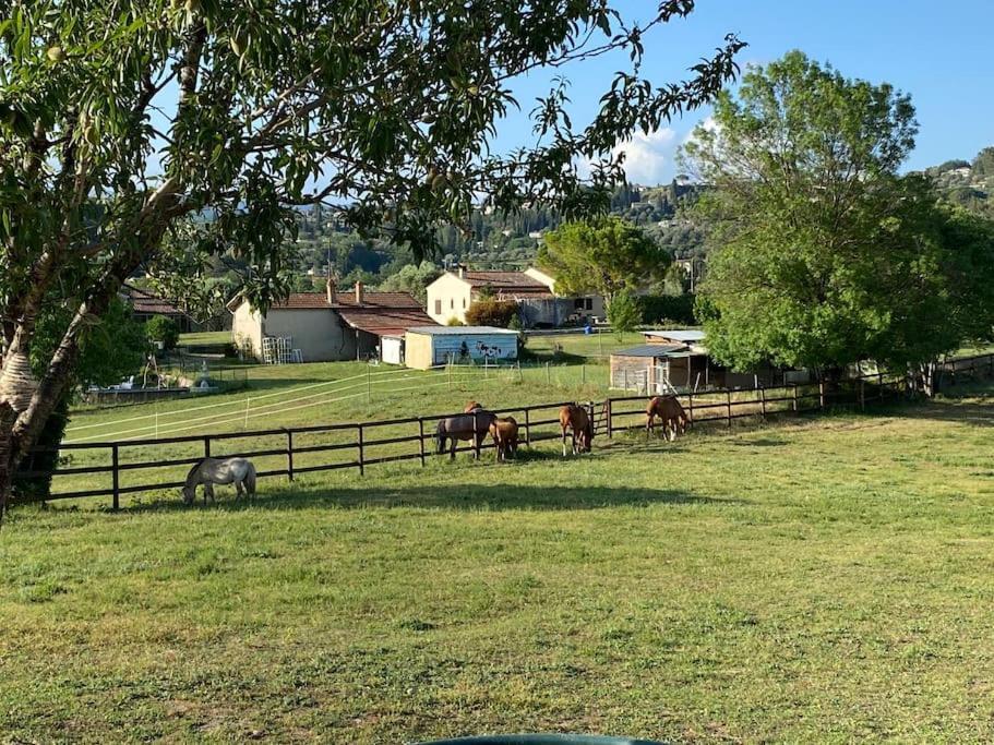 La Bastide De Jean Maison De Charme Dans Un Domaine Equestre Prive Grasse Exterior photo